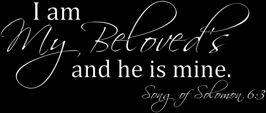 il_fullxfull.265072157