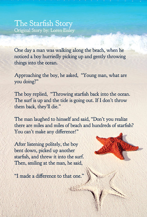 starfish-story-websize